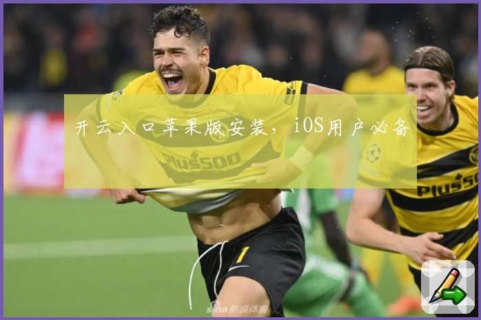 开云入口苹果版安装，iOS用户必备