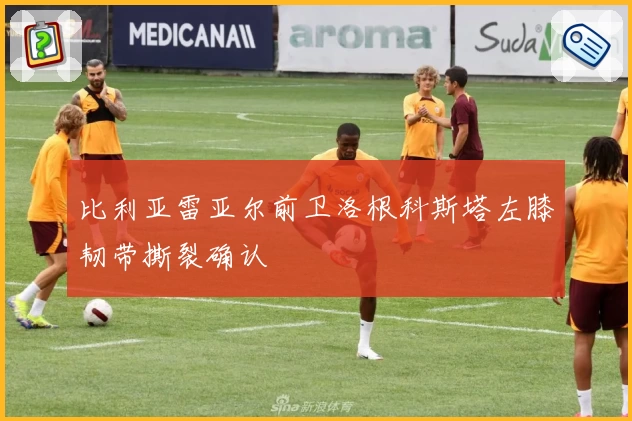 比利亚雷亚尔前卫洛根科斯塔左膝韧带撕裂确认