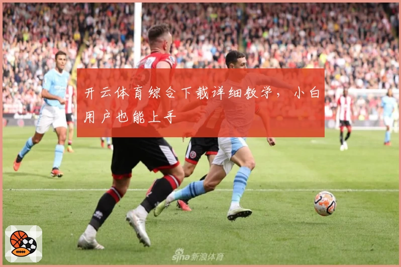 开云体育综合下载详细教学,小白用户也能上手