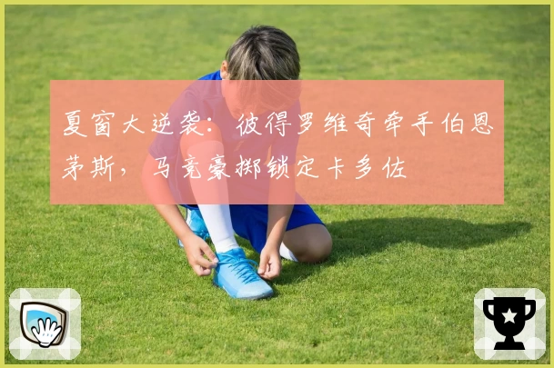 夏窗大逆袭：彼得罗维奇牵手伯恩茅斯，马竞豪掷锁定卡多佐