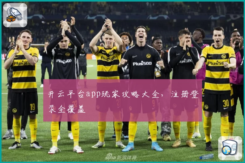 开云平台app玩家攻略大全，注册登录全覆盖