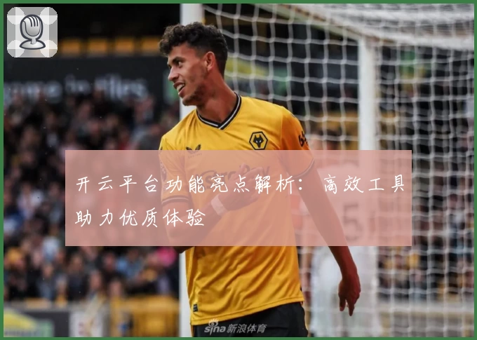 开云平台功能亮点解析：高效工具助力优质体验